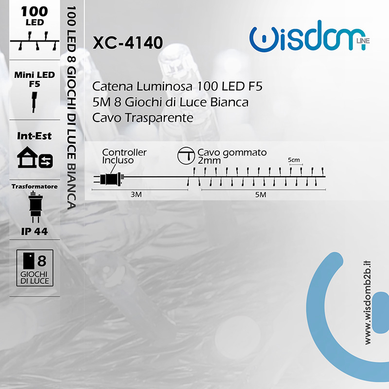 Catena Luminosa LED 100 Luci Bianche Decorazioni Natalizie Infografica Caratteristiche Tecniche Catena LED 100 Luci Bianche Cavo Trasparente da 5M