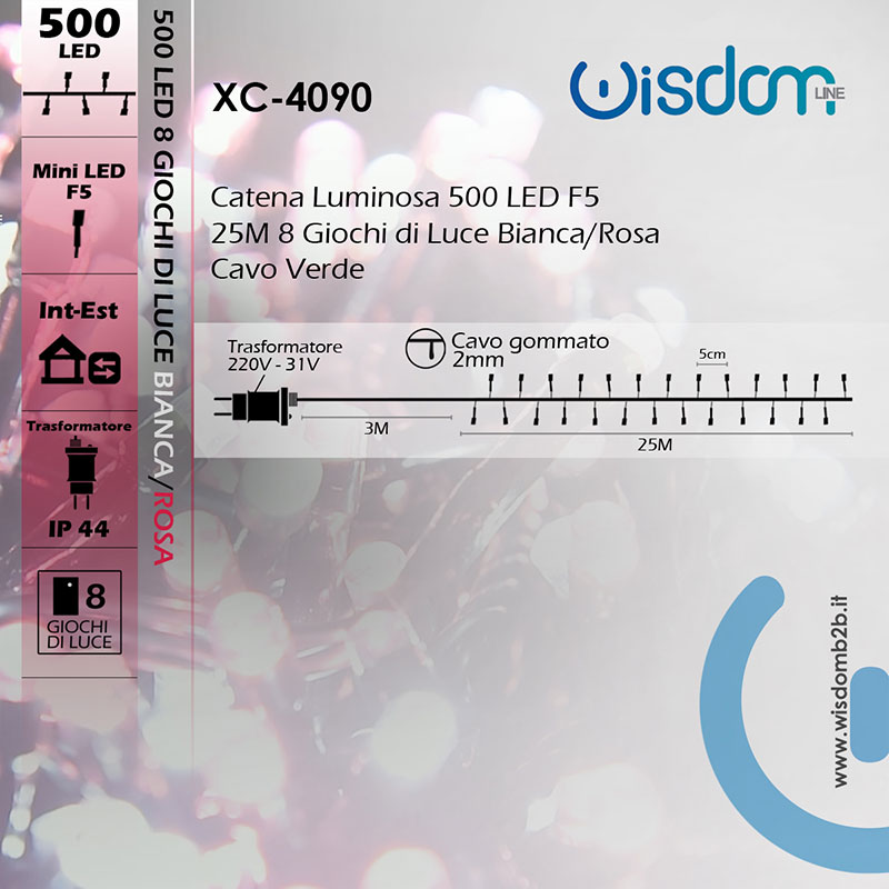 Infografica Catena LED 500 Luci Rosa e Bianche 8 Funzioni di Illuminazione a Bassa Tensione 31V