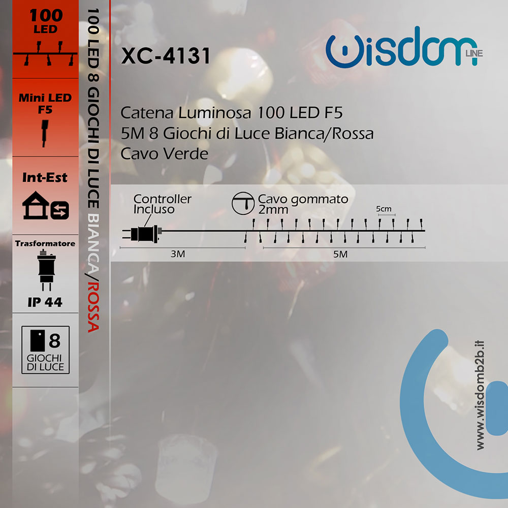 Catena LED WISDOM 100 Bianca e Rossa 5M Decorazioni Energetiche Infografica Luminaria 100 LED 5 Metri Cavo Verde 31V Luce Bianca e Rossa
