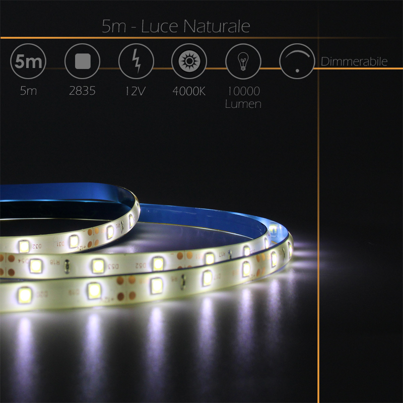 Infografica Striscia LED 2835 Dimmerabile da 5 Metri 12V con Alimentatore Luce Naturale