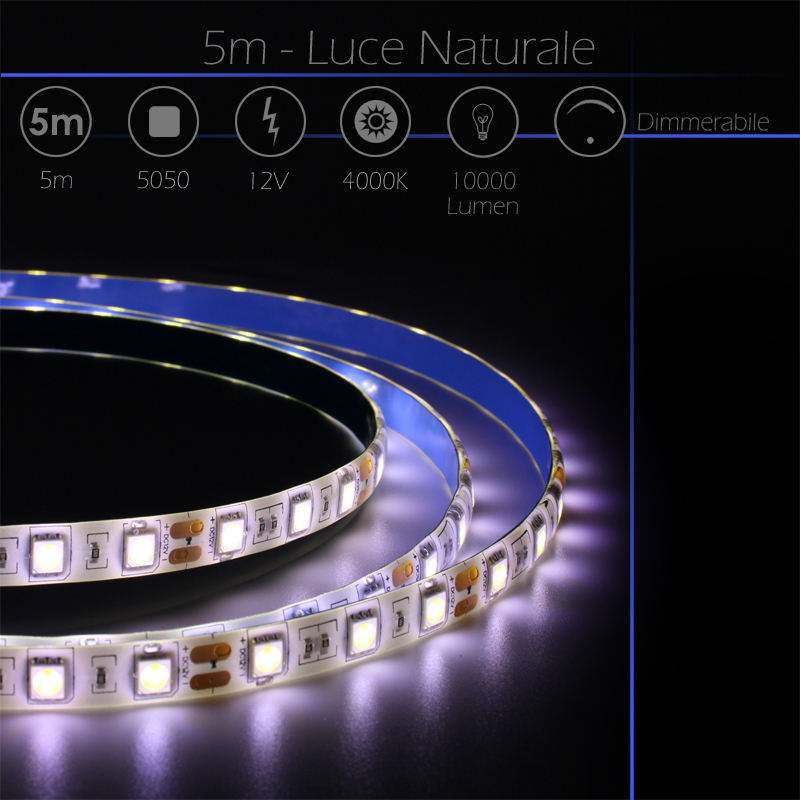 Infografica Striscia Flessibile LED SMD 5050 da 5 Metri Dimmerabile con Alimentatore da 12V Incluso