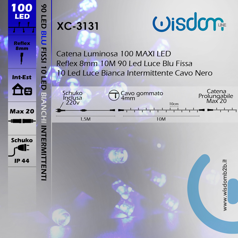 CATENA LUMINOSA 100 MAXILED LUCE BLU/BIANCA - Decorazioni Luminose Natalizie da Esterno Scheda_Prodotto_Caratteristiche_Tecniche_Catena_Luminosa_100_LED_10M_Luce_Blu/Bianca